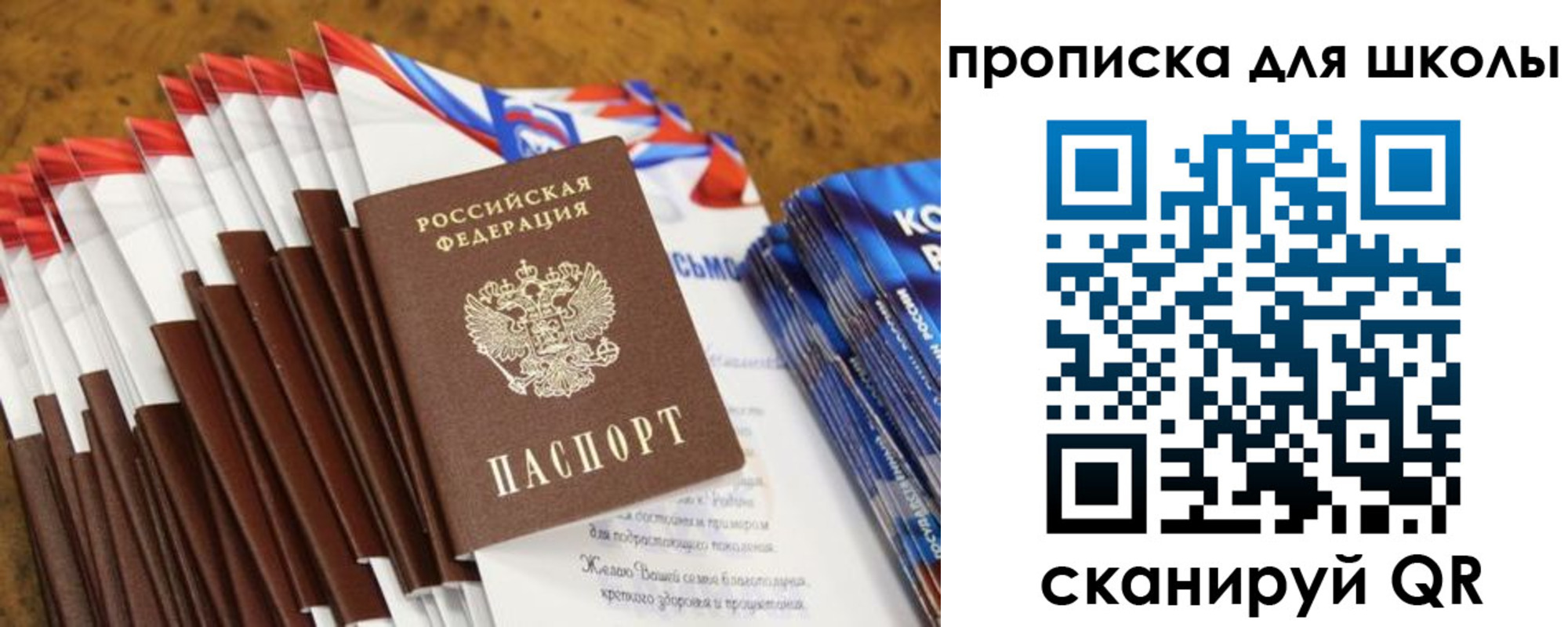 прописка паспорт в Сельцо